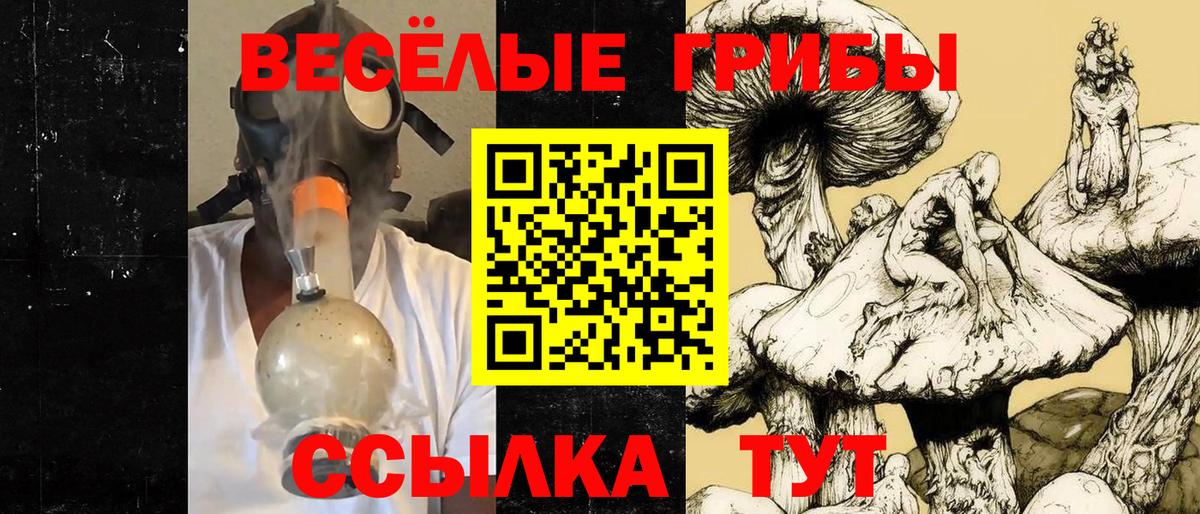 Великий Новгород  Псилоцибиновые грибы Cubensis  цены наркотик  Вход с VPN 