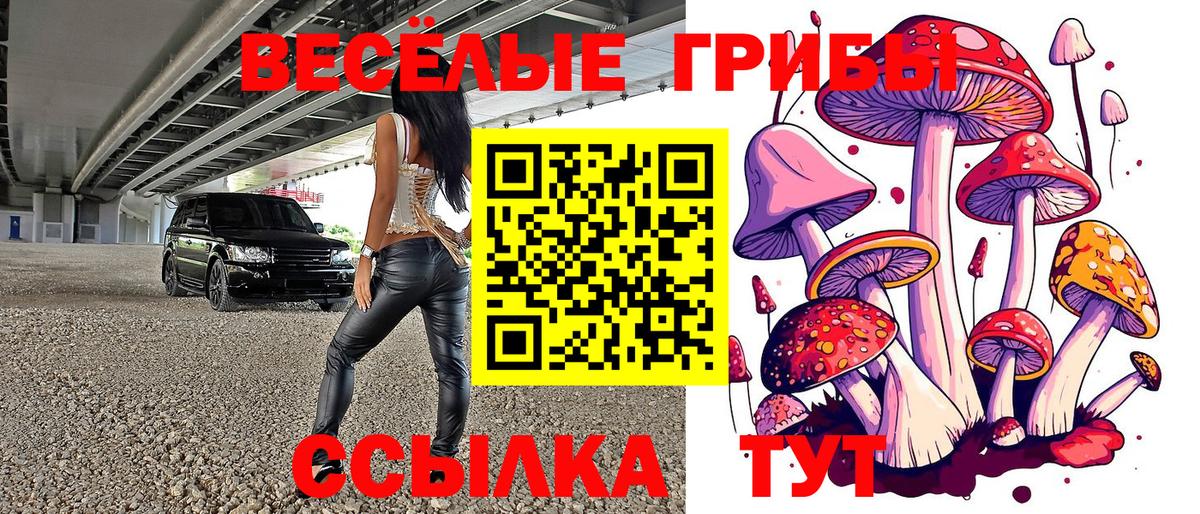 Галлюциногенные грибы Psilocybe Великий Новгород